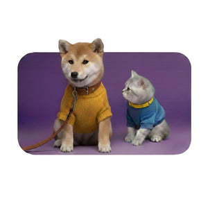 For dogs