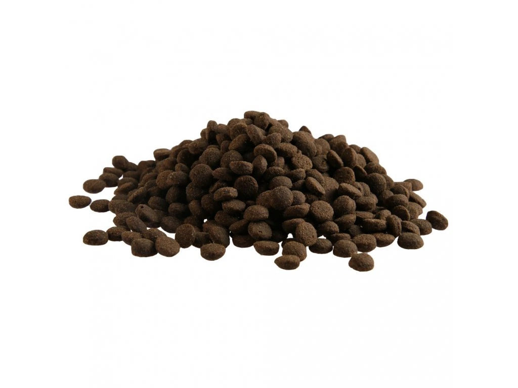 Fitmin Medium Maxi Lamb & Rice dog food 12 kg