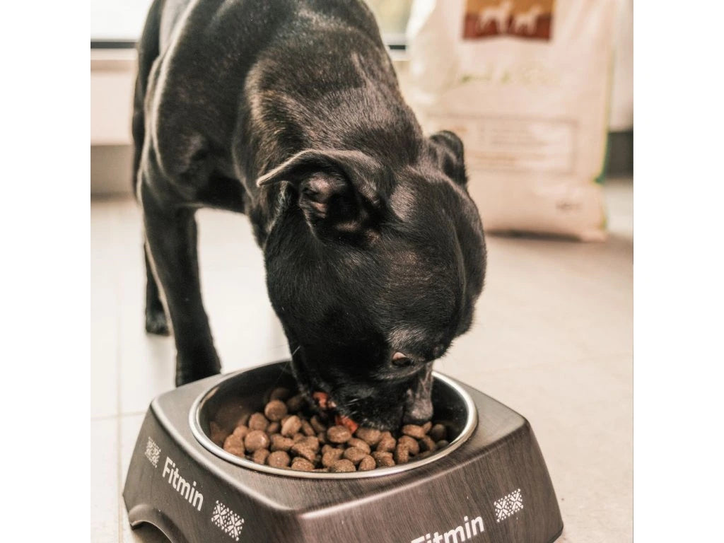 Fitmin Medium Maxi Lamb & Rice dog food 12 kg