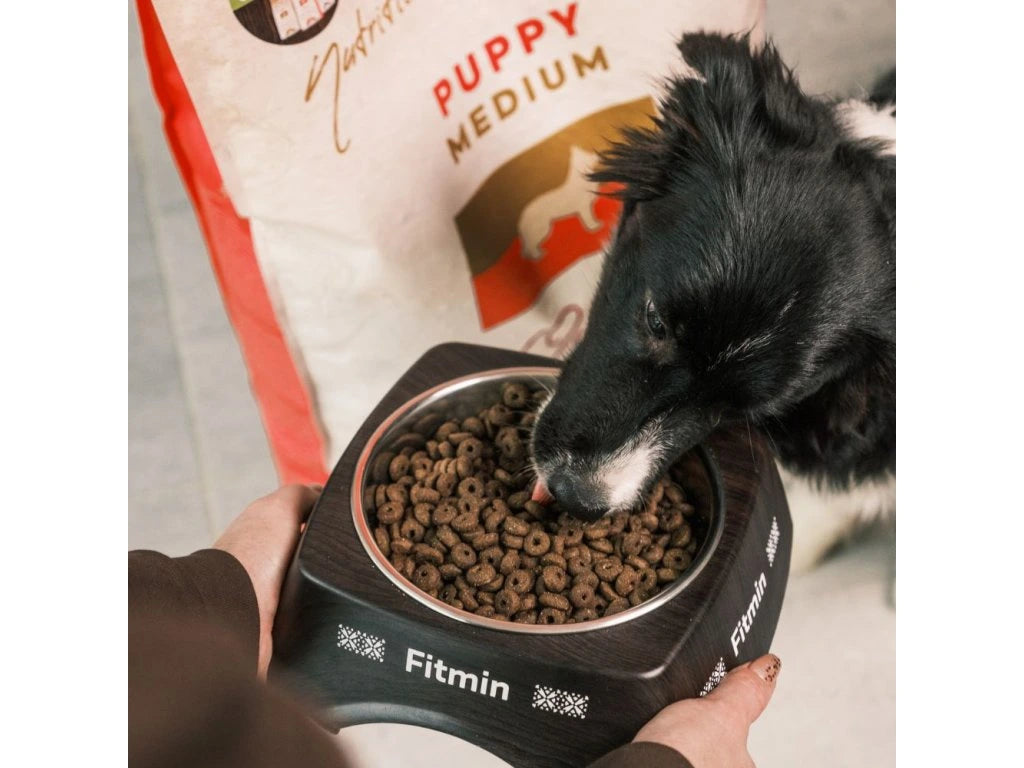 Fitmin Medium Puppy food for puppies 12 kg