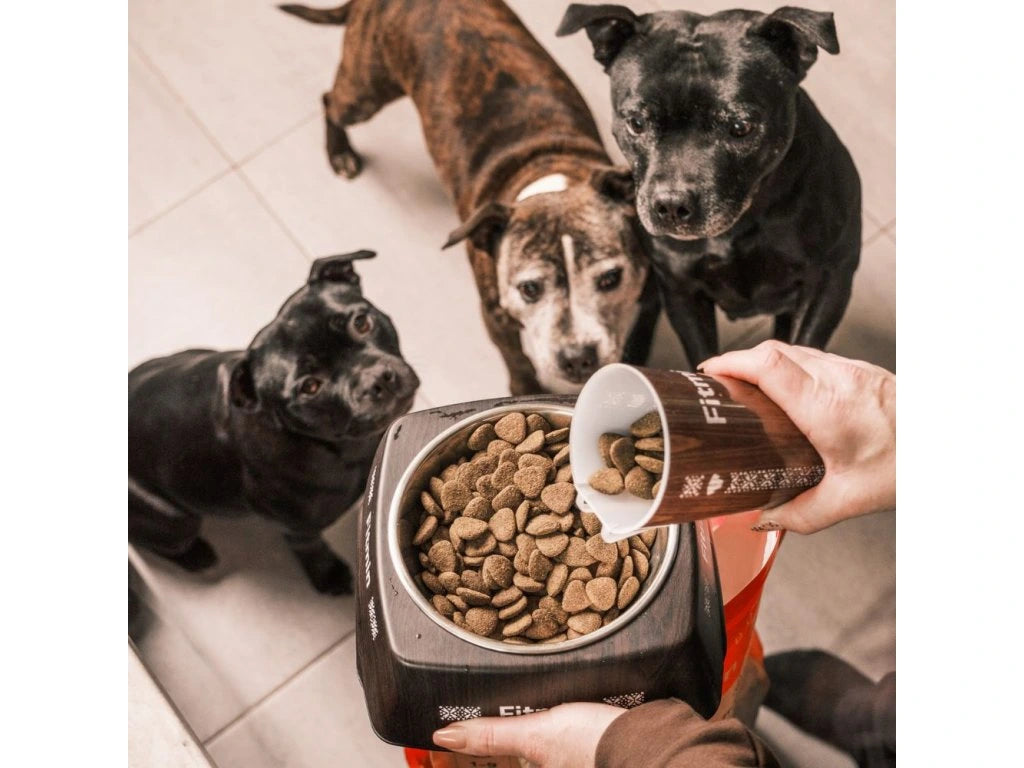 Fitmin Medium Maintenance dog food 12 kg